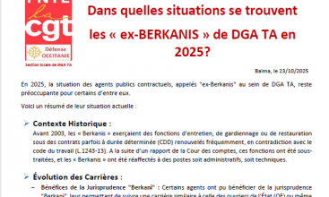 DÉFENSE OCCITANIE - BERKANIS DE DGA TA.