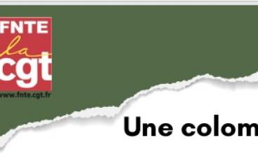 2026-03/2026_03_10_federation_expression_Une_colombe_rouge_sang%20%281%29